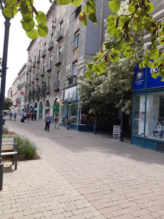 Wanderer 3 Διαμέρισμα Ντέμπρετσεν Εξωτερικό φωτογραφία